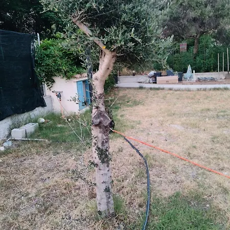 빌라 Casetta 28 Passi Dal Mare *