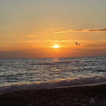 Casetta 28 Passi Dal Mare 别墅 *